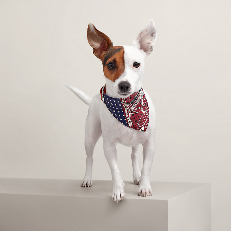 犬用バンダナ 《エプロン・ドール》 S | Hermès - エルメス-公式サイト